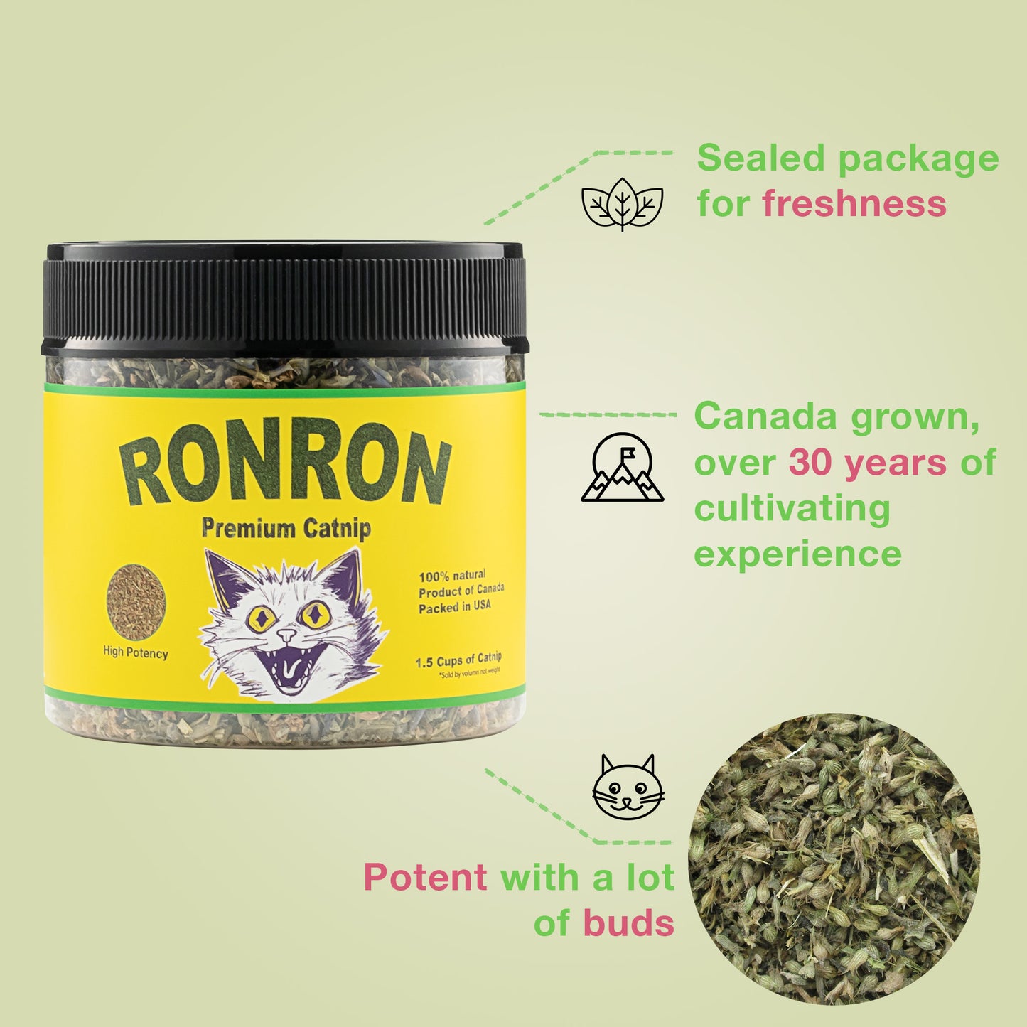 RonRon Premium Catnip: Freshly Harvested, Canada Grown, Packed in USA